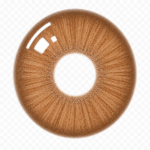 Dahab Cat Contact Lenses – Gold Collection - Image 2