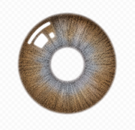 Dahab Lumirere Hazel Contact Lenses – Gold Collection - Image 2