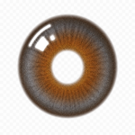 Dahab Sabrin Soul Contact Lenses – Gold Collection - Image 2
