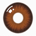 Dahab Topaz Contact Lenses – Gold Collection - Image 2